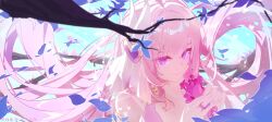Rule 34 | 1girl, absurdres, bare shoulders, bouquet, branch, breasts, bridal veil, chinese commentary, closed mouth, collarbone, commentary request, diamond-shaped pupils, diamond (shape), elysia (herrscher of human:ego) (honkai impact), elysia (honkai impact), flower, go satoshi ko, hair between eyes, hair intakes, hands up, highres, holding, holding bouquet, honkai (series), honkai impact 3rd, jewelry, large breasts, long hair, looking at object, pink hair, portrait, purple eyes, purple pupils, ring, sidelocks, smile, solo, symbol-shaped pupils, translation request, veil, very long hair