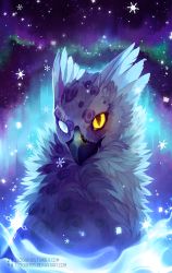 Rule 34 | 2016, aurora, clockbirds, commentary, commission, creature, deviantart username, english commentary, eyrie, neopets, night, night sky, no humans, scar, scar across eye, scar on face, sky, slit pupils, snowflakes, solo, star (sky), starry sky, tumblr username, upper body, watermark, web address, yellow eyes