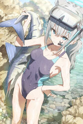 Rule 34 | 1girl, absurdres, animal ear fluff, animal ears, applepie (12711019), black one-piece swimsuit, blue archive, blue eyes, blue halo, breasts, cleavage, collarbone, competition swimsuit, covered navel, cross hair ornament, diving mask, diving mask on head, extra ears, feet out of frame, fish, from above, goggles, goggles on head, grey hair, hair ornament, halo, hand on own hip, highleg, highleg swimsuit, highres, low ponytail, medium hair, mismatched pupils, multicolored clothes, multicolored swimsuit, official alternate costume, one-piece swimsuit, rock, shiroko (blue archive), shiroko (swimsuit) (blue archive), sideboob, small breasts, snorkel, solo, standing, swimsuit, swordfish, thighs, wolf ears