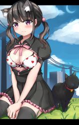 Rule 34 | 1girl, animal, animal ear fluff, animal ears, between legs, black cat, black hair, black shirt, black skirt, black thighhighs, blue eyes, blue sky, blush, bow, bow bra, bra, breasts, breasts out, cat, cat ears, cleavage, closed mouth, cloud, collared shirt, commentary request, crescent moon, day, fang, fang out, frilled skirt, frills, frown, hair bobbles, hair ornament, hand between legs, heart, heart bra, heart print, highres, letterboxed, long hair, medium breasts, moon, open clothes, open shirt, original, power lines, print bra, puffy short sleeves, puffy sleeves, purple eyes, shirt, short sleeves, sitting, skirt, sky, solo, takapii, thighhighs, twintails, underwear, utility pole, white bra