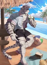 Rule 34 | 1boy, abs, alternate costume, animal ears, arknights, bara, beach, black male swimwear, blue eyes, bulge, coconut, drinking, eyebrow cut, facial hair, furry, furry male, goatee, highres, holding, icyyyrock (rockbenis), large pectorals, male focus, male swimwear, mature male, mountain (arknights), muscular, muscular male, nipples, palm tree, pectoral cleavage, pectorals, scar, scar across eye, shade, short hair, solo, standing, standing on one leg, stomach, sunlight, swim trunks, thick eyebrows, thick thighs, thighs, tiger boy, tiger ears, tree, white hair