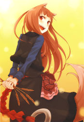 Rule 34 | 1girl, absurdres, animal ears, ayakura juu, blush, brown hair, fang, food, highres, holo, long hair, looking at viewer, looking back, official art, pouch, red eyes, skirt, smile, solo, spice and wolf, tail, wheat, wolf ears, wolf tail
