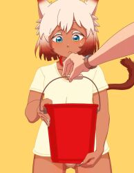 Rule 34 | 1girl, animal collar, animal ear fluff, animal ears, animated, blue eyes, breasts, brown hair, bucket, bucket of water, cat bell, cat collar, cat ears, cat girl, cat tail, collar, dark-skinned female, dark skin, embarrassed, fxx, gradient hair, green eyes, kicking, lowres, multicolored hair, navel, neck bell, nipples, no bra, panties, red background, see-through, shirt, short hair, simple background, small breasts, solo focus, tagme, tail, underwear, video, wet, wet clothes, wet shirt, white hair