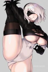 Rule 34 | 1girl, 2b (nier:automata), artist name, ass, black blindfold, black thighhighs, blindfold, breasts, curvy, flexible, gluteal fold, highres, huge breasts, large breasts, leg up, leotard, lips, mole, mole under mouth, nier:automata, nier (series), noxcuro, short hair, signature, solo, split, standing, standing on one leg, standing split, thick thighs, thighhighs, thighs, underboob, white background, white hair