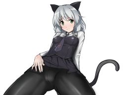 Rule 34 | 1girl, aegis (nerocc), animal ears, bad id, bad pixiv id, blush, cat ears, cat tail, clothes lift, crotch seam, from below, green eyes, looking at viewer, necktie, panties, panties under pantyhose, pantyhose, sanya v. litvyak, short hair, silver hair, skirt, skirt lift, smile, solo, strike witches, tail, underwear, upskirt, world witches series