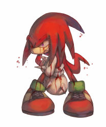 Rule 34 | 1boy, animal nose, bad id, bad pixiv id, blood, bluekomadori, clenched teeth, commentary, full body, furry, furry male, gloves, injury, knuckles the echidna, male focus, one eye closed, simple background, solo, sonic (series), standing, teeth, white background, white gloves