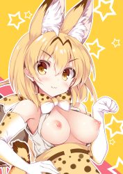 Rule 34 | &gt;:3, 10s, 1girl, :3, animal ears, bare shoulders, blonde hair, bow, bowtie, breasts, breasts out, elbow gloves, eyes visible through hair, gloves, hair between eyes, hand on own hip, high-waist skirt, kemono friends, medium breasts, multicolored background, nipples, open clothes, open shirt, paw pose, pink background, print bow, print bowtie, print gloves, print neckwear, print skirt, sample watermark, serval (kemono friends), serval print, serval tail, shirt, short hair, skirt, sleeveless, sleeveless shirt, solo, star (symbol), starry background, tail, tateha (marvelous grace), two-tone background, upper body, v-shaped eyebrows, watermark, white shirt, yellow background, yellow eyes