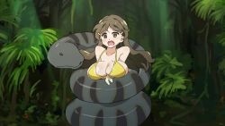 Rule 34 | 1girl, animated, arniro111, ass, bikini, blush, bouncing breasts, breasts, brown eyes, brown hair, cleavage, clenched teeth, coiled, collarbone, constriction, forest, hair ornament, hairclip, large breasts, long hair, nature, navel, outdoors, shinomiya himawari, snake, sound, struggling, swimsuit, teeth, tree, video, vividred operation, yellow bikini