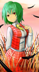 Rule 34 | 1girl, arm behind back, ascot, bad id, bad pixiv id, breasts, collared shirt, colored eyelashes, cowboy shot, feathers, field, green hair, hand on own chest, highres, kazami yuuka, long sleeves, medium breasts, okahi, plaid, plaid skirt, plaid vest, red eyes, shirt, short hair, skirt, smile, solo, sunset, teeth, touhou, vest, wheat field