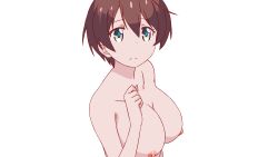 Rule 34 | 1girl, blue eyes, breasts, brown hair, closed mouth, collarbone, highres, large breasts, looking at viewer, new game!, nipples, nude, shinoda hajime, short hair, solo, takefumi, transparent background, upper body