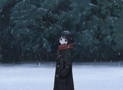Rule 34 | 1girl, black coat, black eyes, black hair, blood, blood on clothes, blood on face, coat, cowboy shot, forest, from side, grin, hands in pockets, head tilt, highres, hood, hood down, hooded coat, long sleeves, looking at viewer, nature, open mouth, original, outdoors, red scarf, sakiika0513, scarf, short hair, smile, snow, snow on head, snowing, solo, tree, winter clothes, winter coat