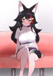 Rule 34 | 1girl, alternate costume, animal ear fluff, animal ears, arm support, barefoot, black hair, black shorts, breasts, brown eyes, closed mouth, commentary request, couch, double-parted bangs, feet out of frame, flipped hair, hair ornament, hairclip, highres, hololive, indoors, kani bonara, large breasts, long hair, looking at viewer, loungewear, multicolored hair, on couch, ookami mio, red hair, shirt, short shorts, short sleeves, shorts, sitting, smile, solo, spiked hair, streaked hair, t-shirt, tail, taut clothes, taut shirt, virtual youtuber, white shirt, wolf ears, wolf girl, wolf tail