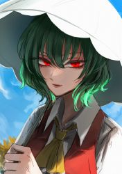 Rule 34 | 1girl, absurdres, ascot, blue sky, closed mouth, cloud, cloudy sky, collared shirt, eyes visible through hair, flower, green hair, grey shirt, hair between eyes, hand up, highres, holding, holding umbrella, kazami yuuka, leaf, looking at viewer, mamiru (42105269), one-hour drawing challenge, plaid, plaid vest, puffy short sleeves, puffy sleeves, red eyes, red vest, shirt, short hair, short sleeves, sky, smile, solo, sunflower, touhou, umbrella, upper body, vest, yellow ascot