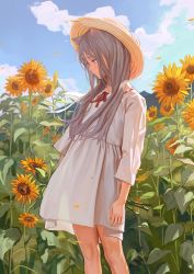 Rule 34 | 1girl, animal ears, arms at sides, artist name, cat ears, day, dress, feet out of frame, feiqizi (fkey), field, fkey, flat chest, flower, flower field, grey hair, hat, highres, legs, long hair, looking away, looking down, original, outdoors, pensive, red eyes, ribbon-trimmed dress, scenery, see-through silhouette, sky, solo, standing, sun hat, sundress, sunflower, sunflower field, sunlight, thighs, white dress