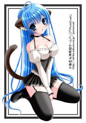 Rule 34 | 1girl, ahoge, animal ears, bare shoulders, black thighhighs, blouse, blue eyes, blue hair, blush, bow, breasts, cat ears, cat girl, cat tail, choker, cleavage, corset, female focus, garter belt, kneeling, large breasts, long hair, looking at viewer, mary janes, matching hair/eyes, open mouth, original, ribbon choker, shirt, shoes, simple background, skirt, solo, straight hair, tail, text focus, thighhighs, very long hair, watermark, web address, white background, yagisaka seto, zettai ryouiki