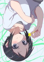 Rule 34 | 1girl, black hair, blue eyes, blush, closed mouth, collarbone, commentary request, drawn flower, green background, grey background, grey shirt, hatafuta, holding, kurosaki honoka, looking at viewer, shirt, short hair, short sleeves, smile, solo, split mouth, two-tone background, upper body, upside-down, white shirt, yama no susume