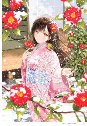Rule 34 | 1girl, absurdres, akasaka asa, animal, animal on shoulder, artist name, bird, bird on shoulder, blush, braid, branch, brown eyes, brown hair, camellia, closed mouth, feet out of frame, fingernails, floral print, flower, hair ornament, highres, holding, japanese clothes, kimono, light smile, lips, looking at viewer, obi, obiage, obijime, original, outdoors, page number, sash, scan, side braid, snow, snowing, standing, stepping stones, tatami, veranda, wide sleeves, yellow eyes