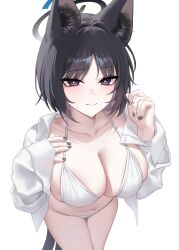 Rule 34 | 1girl, absurdres, animal ear fluff, animal ears, bikini, black eyes, black hair, black nails, blue archive, blue halo, blush, breasts, cat ears, cat tail, cleavage, closed mouth, collarbone, fingernails, halo, highres, kikyou (blue archive), large breasts, long sleeves, looking at viewer, nail polish, navel, open clothes, open shirt, raki kr, shirt, short hair, simple background, solo, swimsuit, tail, white background, white bikini, white shirt
