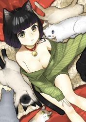 Rule 34 | 1girl, ^ ^, animal, animal ears, bare legs, bare shoulders, bell, black hair, blue eyes, blunt bangs, bob cut, breasts, cat, cat ears, cat tail, cleavage, closed eyes, closed mouth, collar, colored eyelashes, fingernails, from above, frown, fur trim, gradient eyes, green eyes, green sweater, hand on own knee, highres, jingle bell, long fingernails, long sleeves, looking at viewer, medium breasts, multicolored eyes, nail polish, naked sweater, neck bell, off shoulder, original, oversized clothes, sawaco (sawaco520), short hair, signature, sitting, sleeves past wrists, sweater, tail, yellow eyes
