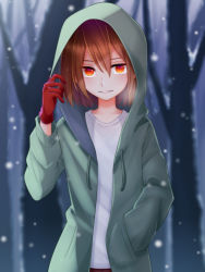 1other alternate_universe artist_request brown_hair chara_(undertale) commentary_request gloves green_hoodie grin hair_between_eyes hand_in_pocket highres hood hoodie lips long_sleeves looking_at_viewer open_clothes open_hoodie orange_eyes red_gloves shirt short_hair smile snow solo storyshift undertale undertale_au white_shirt