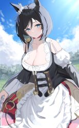 Rule 34 | 1girl, absurdres, anima miko, animal ears, bare shoulders, black hair, blue eyes, blue sky, breasts, cleavage, closed mouth, clothes lift, cloud, detached sleeves, dress, dress lift, ear ornament, eishin flash (umamusume), highres, horse ears, horse girl, horse tail, large breasts, long hair, long sleeves, looking at viewer, outdoors, short hair, sky, smile, solo, tail, umamusume