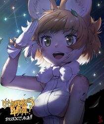 Rule 34 | animal ears, anniversary, bare shoulders, blush, brown shirt, dhole (kemono friends), dog ears, dog girl, extra ears, fur collar, gloves, highres, ito yoki, kemono friends, kemono friends 3, light brown hair, multicolored hair, open mouth, salute, shirt, sky, sleeveless, smile, star (sky), starry sky, two-tone hair, two-tone shirt, upper body, white fur, white gloves, white hair, white shirt, yellow eyes