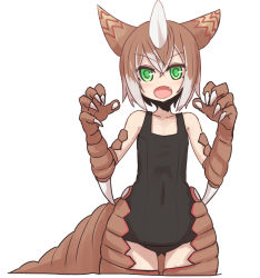 Rule 34 | 1girl, :o, animal ears, bare shoulders, black one-piece swimsuit, blush, brown hair, claws, commentary request, covered navel, cowboy shot, explosive, fang, fingernails, flat chest, gomora, grenade, hair between eyes, hands up, horns, looking at viewer, monster girl, multicolored hair, new school swimsuit, no nose, one-piece swimsuit, open mouth, scales, school swimsuit, sharp fingernails, short hair, simple background, single horn, solo, standing, sumiyao (amam), swimsuit, tail, ultra kaijuu gijinka keikaku, ultra series, v-shaped eyebrows, white background