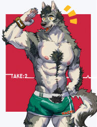 Rule 34 | 1boy, abs, animal nose, armpit hair, bara, bike shorts, body fur, bracelet, bulge, chest hair, covered penis, erection, erection under clothes, furry, furry male, green eyes, grey fur, hand on own hip, highres, jewelry, male focus, muscular, muscular male, navel, navel hair, nipples, original, pectorals, pubic hair, pubic hair peek, salute, sharp teeth, short hair, shorts, smile, solo, suamaru, tail, teeth, thick thighs, thighs, topless male, two-tone fur, white fur, wolf boy