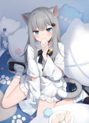 Rule 34 | 1girl, amashiro natsuki, animal ears, bed, black footwear, blue eyes, bottle, cat ears, cat girl, cat tail, commentary request, cookie, cushion, dress, eating, food, grey hair, hair ornament, hairclip, hand up, highres, holding, holding food, indie virtual youtuber, long hair, looking at viewer, nachoneko, pillow, plate, sitting, slippers, socks, solo, striped clothes, striped socks, tail, virtual youtuber, wariza, white dress