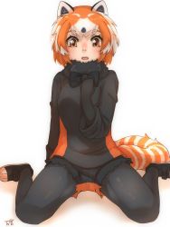 Rule 34 | 1girl, animal ears, black fur, black gloves, black hair, black pantyhose, black shirt, black sweater, blush, commentary request, elbow gloves, fur collar, gloves, highres, kemono friends, lesser panda (kemono friends), long sleeves, multicolored clothes, multicolored hair, multicolored shorts, multicolored sweater, orange eyes, orange hair, orange shorts, orange sweater, panda ears, panda girl, panda tail, pantyhose, shirt, shoes, short hair, short shorts, shorts, simple background, sitting, smile, sneakers, solo, sweater, thin (suzuneya), wariza, white background, white hair