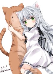 Rule 34 | 1girl, animal ear fluff, animal ears, bad id, bad pixiv id, black ribbon, black sailor collar, blush, cat-shaped pillow, cat ears, cat girl, cat tail, copyright request, dated, dress, hugging object, kneehighs, long hair, looking at viewer, looking to the side, nanase nao, pillow, pillow hug, puffy short sleeves, puffy sleeves, red eyes, ribbon, sailor collar, sailor dress, short sleeves, silver hair, simple background, socks, solo, striped clothes, striped socks, striped tail, tail, twitter username, very long hair, white background, white dress