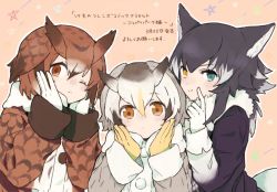 Rule 34 | &gt;:&gt;, 10s, 3girls, :&gt;, :|, ;|, animal ears, black hair, blonde hair, blue eyes, blush, brown coat, brown eyes, brown hair, buttons, closed mouth, coat, collar, commentary request, dot nose, eurasian eagle owl (kemono friends), expressionless, eyelashes, finger to cheek, fur collar, girl sandwich, gloves, gradient hair, grey coat, grey hair, grey wolf (kemono friends), hand up, hands on own cheeks, hands on own face, hands up, head wings, heterochromia, index finger raised, jacket, kemono friends, large buttons, long sleeves, multicolored clothes, multicolored coat, multicolored hair, multiple girls, northern white-faced owl (kemono friends), one eye closed, outline, pink background, sandwiched, short hair, simple background, smile, star (symbol), starry background, tail, tareme, tenhana39, translation request, tsurime, two-tone hair, upper body, v-shaped eyebrows, wavy hair, white coat, white gloves, white hair, white outline, wings, wolf ears, wolf tail, yellow eyes, yellow gloves
