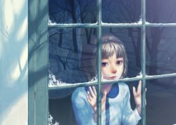 Rule 34 | 1girl, against glass, bare tree, blunt bangs, collared dress, dress, forest, from outside, grey eyes, grey hair, hands up, highres, long sleeves, looking at viewer, nature, original, parted lips, reflection, snow, solo, tree, tunapon01, white dress, winter