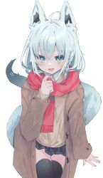 Rule 34 | 1girl, absurdres, ahoge, animal ear fluff, animal ears, black skirt, black thighhighs, blue nails, blush, braid, brown coat, brown sweater, coat, commentary request, fox ears, fox girl, fox tail, green eyes, hair between eyes, highres, hololive, long hair, looking at viewer, nail polish, open clothes, open coat, open mouth, pentagram, red scarf, scarf, shin murasame, shirakami fubuki, sidelocks, simple background, single braid, skirt, solo, sweater, tail, thighhighs, virtual youtuber, white background, white hair, zettai ryouiki