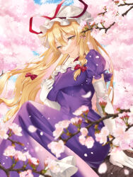 Rule 34 | 1girl, blonde hair, breasts, cherry blossoms, day, dress, elbow gloves, feet out of frame, folding fan, gloves, hand fan, hat, highres, kirisita, large breasts, long hair, looking at viewer, mob cap, outdoors, purple dress, sitting, smile, solo, touhou, very long hair, yakumo yukari, yellow eyes