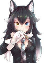 Rule 34 | 1girl, animal ear fluff, animal ears, artist request, black hair, blue eyes, blush, breast pocket, breasts, buttons, cleavage, commentary, commentary request, fur collar, gloves, grey wolf (kemono friends), heterochromia, highres, kemono friends, light smile, long hair, looking at viewer, medium breasts, multicolored hair, pen, pocket, simple background, solo, two-tone hair, white background, white gloves, white hair, wolf ears, wolf girl, yellow eyes