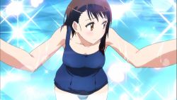 Rule 34 | 10s, 1girl, brown eyes, brown hair, cowboy shot, day, female focus, looking away, lowres, matching hair/eyes, nisekoi, old school swimsuit, one-piece swimsuit, onodera kosaki, partially submerged, school swimsuit, solo, sparkle, swimsuit, water