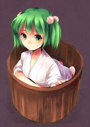 Rule 34 | 1girl, 74 (teduka), absurdres, bucket, female focus, green eyes, green hair, hair bobbles, hair ornament, highres, in bucket, in container, kisume, matching hair/eyes, short hair, solo, touhou, twintails