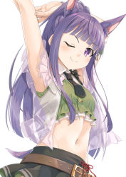 Rule 34 | 1girl, ;), animal ears, arms up, belt, belt buckle, black necktie, black skirt, blunt bangs, brown belt, buckle, closed mouth, collared shirt, commentary request, crop top, green vest, high ponytail, jacket, kasumi (princess connect!), kasumi (summer) (princess connect!), long hair, looking at viewer, miri (ago550421), navel, necktie, one eye closed, open clothes, open jacket, ponytail, princess connect!, purple eyes, purple hair, see-through, shirt, short necktie, simple background, skirt, sleeveless, sleeveless shirt, smile, solo, split mouth, tail, v-shaped eyebrows, very long hair, vest, white background, white shirt