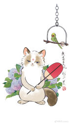 Rule 34 | :3, absurdres, animal focus, bird, blue eyes, blue flower, cat, chinese text, facial mark, flower, forehead mark, full body, half-closed eyes, hand fan, highres, holding, holding fan, junsun, looking at viewer, no humans, original, parrot, purple flower, smile, standing, traditional media, translation request, weibo logo, weibo watermark, whiskers, white background