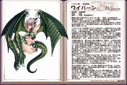 Rule 34 | 1girl, animal hands, armpits, ass, blush, breasts, character profile, claws, dragon, dragon girl, dragon tail, dragon wings, green wings, kenkou cross, looking at viewer, medium breasts, monster girl, monster girl encyclopedia, official art, scales, short hair, solo, tail, text focus, underboob, wings, wyvern, wyvern (monster girl encyclopedia)