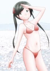 Rule 34 | 1girl, aaoi, bikini, black eyes, black hair, breasts, cowboy shot, highres, kantai collection, long hair, mikuma (kancolle), one-hour drawing challenge, red bikini, small breasts, solo, standing, swimsuit, twintails