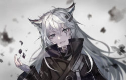 Rule 34 | 1girl, :d, animal ears, arknights, black jacket, black nails, commentary, fingerless gloves, gloves, grey background, grey eyes, grey gloves, hair between eyes, hair ornament, hairclip, hand up, high collar, jacket, lappland (arknights), long hair, long sleeves, looking at viewer, nail polish, open mouth, originium arts (arknights), scar, scar across eye, scar on face, silver hair, smile, solo, touchika, upper body, wolf ears