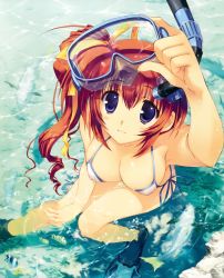 Rule 34 | 00s, 1girl, absurdres, aquaplus, bikini, blue eyes, blush, breasts, cleavage, comic party, diving mask, fish, flippers, goggles, hair ribbon, highres, large breasts, leaf, long hair, mitsumi misato, nipples, official art, ponytail, ribbon, side ponytail, snorkel, solo, striped, swimsuit, takase mizuki
