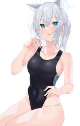 Rule 34 | 1girl, absurdres, animal ear fluff, animal ears, black one-piece swimsuit, blue archive, blue eyes, breasts, competition swimsuit, covered navel, cowboy shot, cross hair ornament, extra ears, grey hair, hair ornament, halo, highleg, highleg swimsuit, highres, honto uni029, low ponytail, medium breasts, medium hair, mismatched pupils, multicolored clothes, multicolored swimsuit, one-piece swimsuit, shiroko (blue archive), shiroko (swimsuit) (blue archive), simple background, sitting, solo, swimsuit, white background