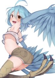 Rule 34 | 10s, 1girl, :d, ahoge, armpits, ass, bird wings, blue hair, blue wings, blush, breasts, brown eyes, harpy, highres, looking at viewer, looking back, monster girl, monster musume no iru nichijou, no bra, open mouth, outstretched arm, papi (monster musume), rerrere, scales, short hair, short shorts, shorts, simple background, small breasts, smile, solo, talons, thighs, underboob, upshirt, white background, winged arms, wings, yellow eyes