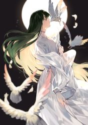 Rule 34 | 1other, androgynous, animal, artist name, bird, closed eyes, collar, enkidu (fate), fate/grand order, fate (series), floating hair, from side, green hair, hair between eyes, holding, lips, long hair, long sleeves, moon, night, outdoors, robe, shihoran, simple background, solo, standing, trap, very long hair, white bird