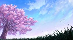 Rule 34 | blue sky, branch, cherry blossoms, cloud, cloudy sky, falling leaves, grass, leaf, morning, no humans, original, plant, scenery, sky, tree, yu02257951