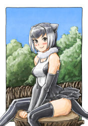 Rule 34 | 1girl, animal ears, blush, breasts, closed mouth, elbow gloves, fur collar, gloves, highres, kemono friends, looking at viewer, ooeyama ken, short hair, small-clawed otter (kemono friends), smile, solo, tail, tree stump, white hair