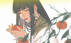 Rule 34 | 1girl, black hair, blunt bangs, branch, chinese commentary, commentary request, fan mu zhang, final fantasy, final fantasy xiv, food, from side, fruit, gradient background, green eyes, half-closed eyes, hands up, highres, holding, holding food, holding fruit, hyur, leaf, long hair, looking down, mole, mole under mouth, persimmon, portrait, red lips, smile, solo, straight hair, yellow background, yotsuyu goe brutus
